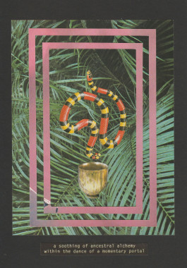 Jackson Gore Artist Earth Creative Projects