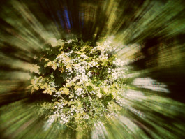 geomancy subtle earth alignment jackson gore earth artist earth worker