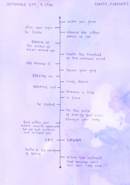 timelines of receptivity geomancy art jackson gore artist geomantic art subtle earth work artist cosmic nature spirit art